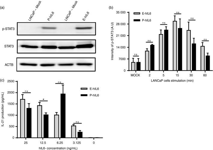 https://cdn.ncbi.nlm.nih.gov/pmc/blobs/9a80/11386861/d42f2a79185e/PBI-17-1094-g002.jpg