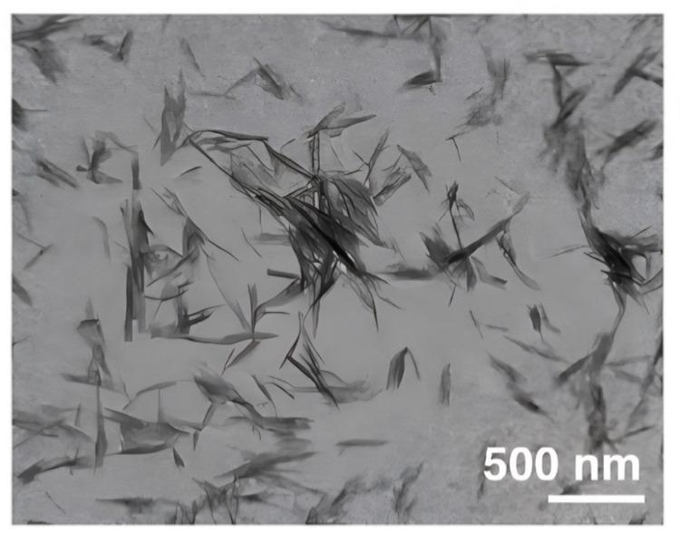 https://cdn.ncbi.nlm.nih.gov/pmc/blobs/9a80/12252264/4524955b811d/polymers-17-01879-g003.jpg
