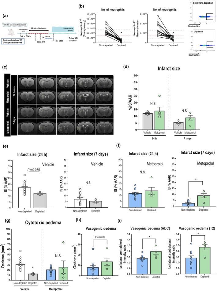 https://cdn.ncbi.nlm.nih.gov/pmc/blobs/9a81/10100149/cd2c7ea15a61/BPH-180-459-g003.jpg