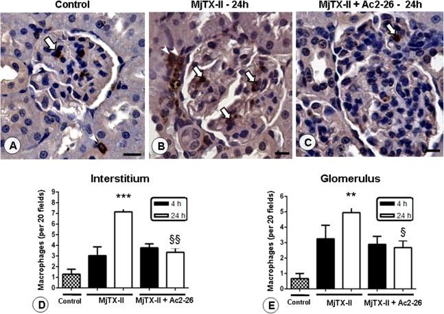 https://cdn.ncbi.nlm.nih.gov/pmc/blobs/9a81/4492549/0792411dec8c/pone.0130803.g006.jpg