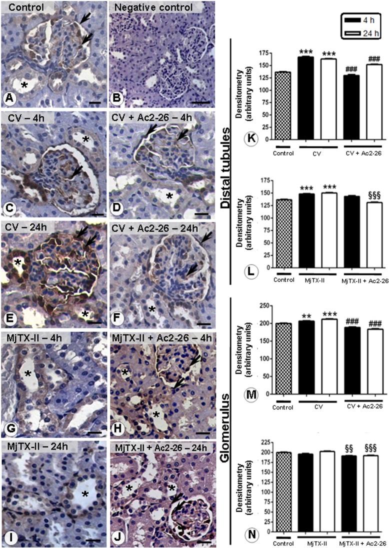 https://cdn.ncbi.nlm.nih.gov/pmc/blobs/9a81/4492549/875c2f71aff7/pone.0130803.g007.jpg