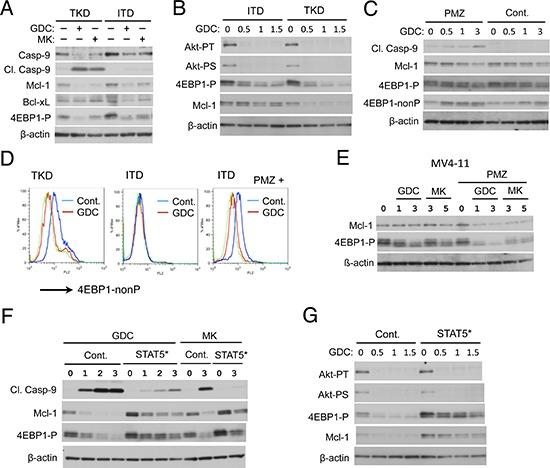 https://cdn.ncbi.nlm.nih.gov/pmc/blobs/9a81/4496211/96851c59a12e/oncotarget-06-9189-g004.jpg