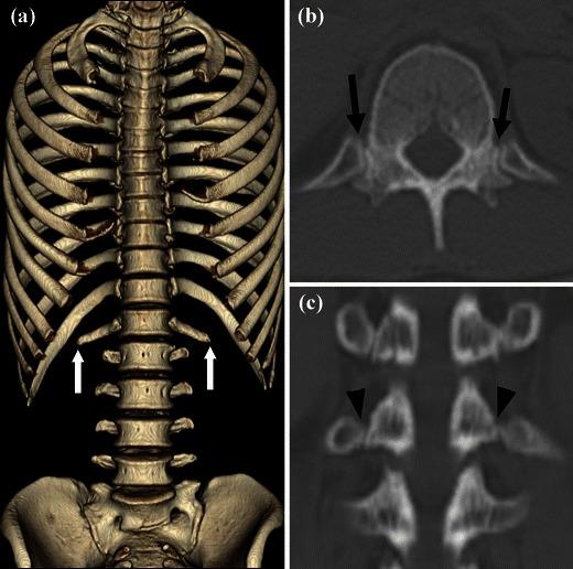 https://cdn.ncbi.nlm.nih.gov/pmc/blobs/9a83/3948909/8d9e9c006a29/13244_2013_286_Fig3_HTML.jpg