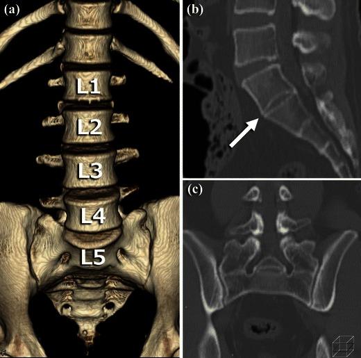 https://cdn.ncbi.nlm.nih.gov/pmc/blobs/9a83/3948909/d333df792724/13244_2013_286_Fig5_HTML.jpg