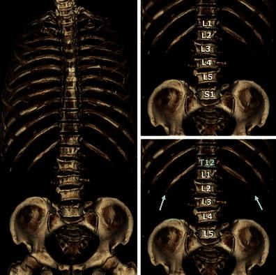 https://cdn.ncbi.nlm.nih.gov/pmc/blobs/9a83/3948909/eeae4eab23c5/13244_2013_286_Fig6_HTML.jpg