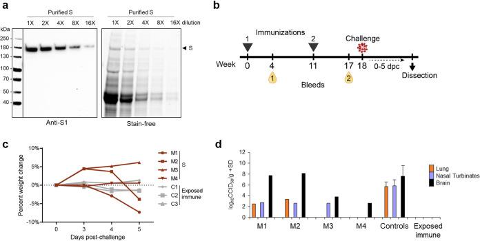https://cdn.ncbi.nlm.nih.gov/pmc/blobs/9a83/8510518/3d7ea05309f2/mbio.01813-21-f002.jpg