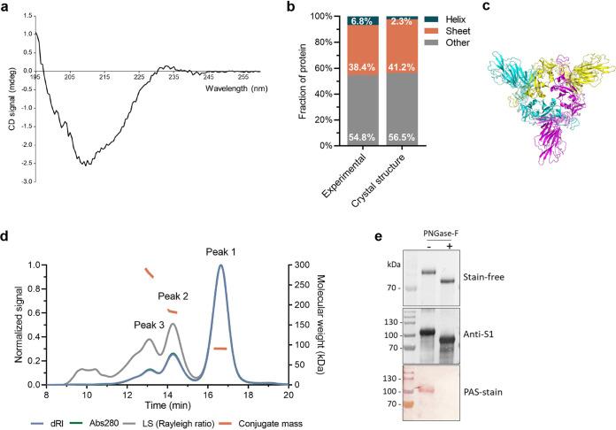 https://cdn.ncbi.nlm.nih.gov/pmc/blobs/9a83/8510518/9e0558016fa2/mbio.01813-21-f004.jpg