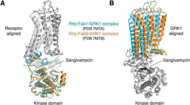 https://cdn.ncbi.nlm.nih.gov/pmc/blobs/9a86/9418498/d4ca1c06590b/gr5.jpg