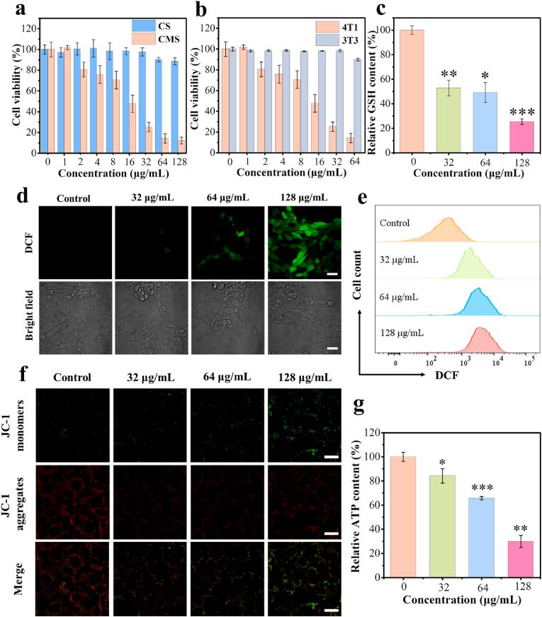 https://cdn.ncbi.nlm.nih.gov/pmc/blobs/9a87/10730349/15003a82cb6f/gr3.jpg