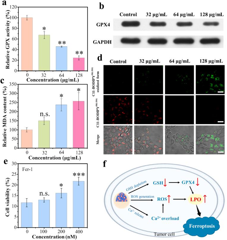 https://cdn.ncbi.nlm.nih.gov/pmc/blobs/9a87/10730349/b007db87bd93/gr4.jpg