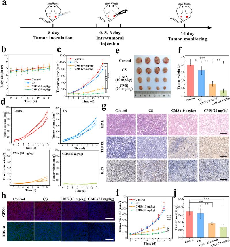 https://cdn.ncbi.nlm.nih.gov/pmc/blobs/9a87/10730349/e00b03fcb808/gr5.jpg