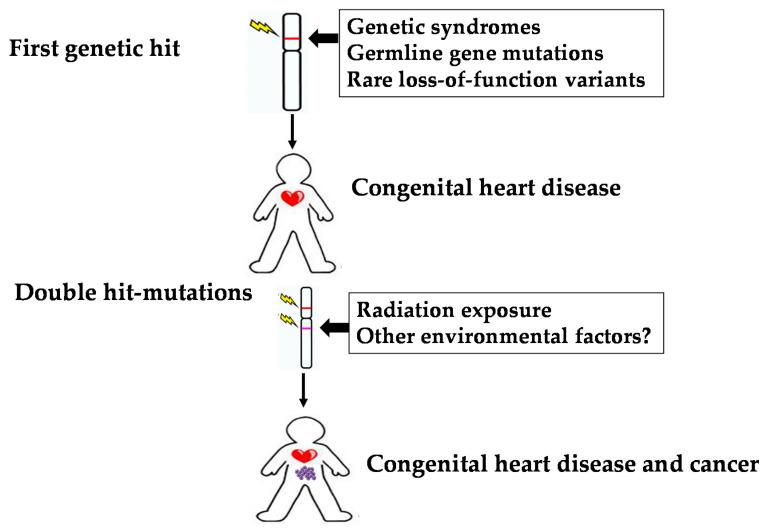 https://cdn.ncbi.nlm.nih.gov/pmc/blobs/9a87/9409914/32713099c510/jcdd-09-00245-g002.jpg