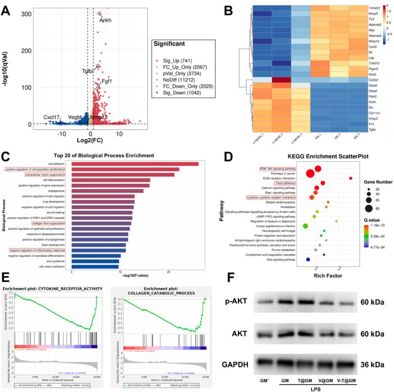 https://cdn.ncbi.nlm.nih.gov/pmc/blobs/9a88/10225820/dbed4dd404b1/gr5.jpg
