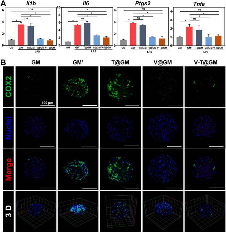 https://cdn.ncbi.nlm.nih.gov/pmc/blobs/9a88/10225820/e286946f4b1e/gr3.jpg