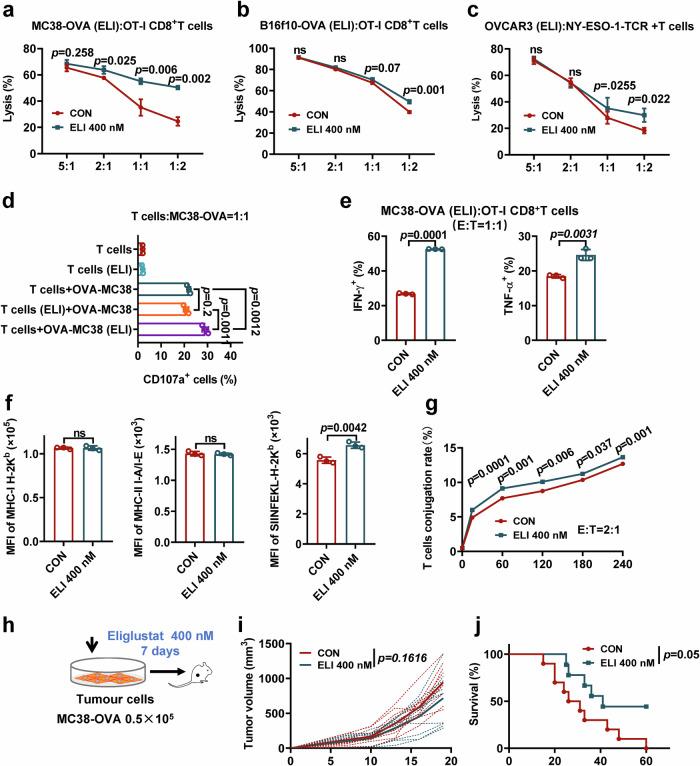 https://cdn.ncbi.nlm.nih.gov/pmc/blobs/9a88/11322526/6e9c1ad0653e/41467_2024_51495_Fig2_HTML.jpg