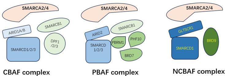 https://cdn.ncbi.nlm.nih.gov/pmc/blobs/9a89/12016160/2ce4d593c6e3/13072_2025_590_Fig2_HTML.jpg