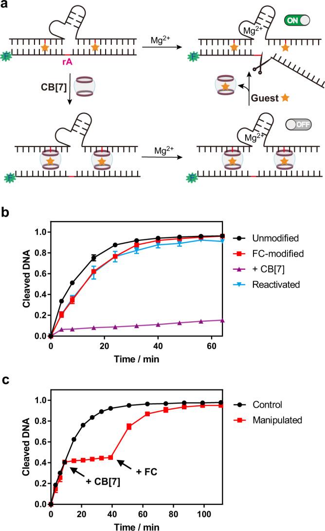 https://cdn.ncbi.nlm.nih.gov/pmc/blobs/9a8b/9547909/0478f196e77d/41467_2022_33738_Fig6_HTML.jpg