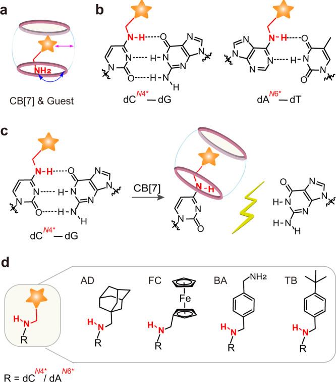 https://cdn.ncbi.nlm.nih.gov/pmc/blobs/9a8b/9547909/816d65d29b9b/41467_2022_33738_Fig1_HTML.jpg