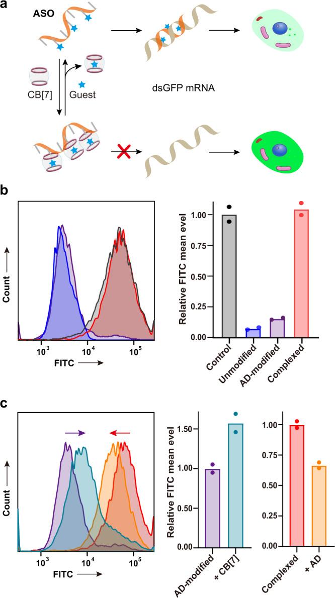 https://cdn.ncbi.nlm.nih.gov/pmc/blobs/9a8b/9547909/dc3407d84274/41467_2022_33738_Fig7_HTML.jpg