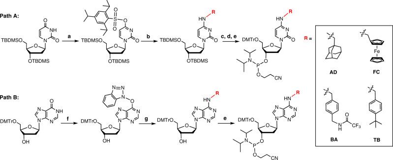 https://cdn.ncbi.nlm.nih.gov/pmc/blobs/9a8b/9547909/e7b996da2136/41467_2022_33738_Fig2_HTML.jpg