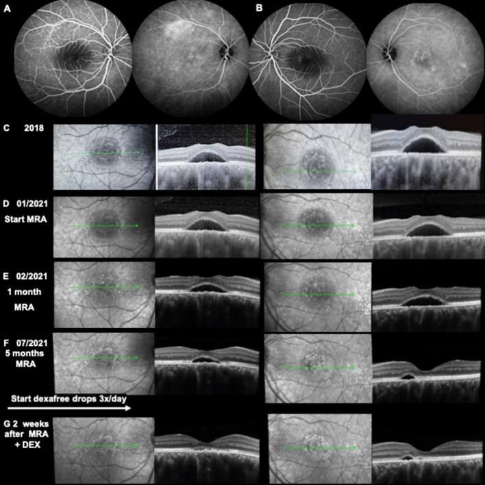 https://cdn.ncbi.nlm.nih.gov/pmc/blobs/9a8c/10465571/3b256572c6a7/41598_2023_41126_Fig8_HTML.jpg