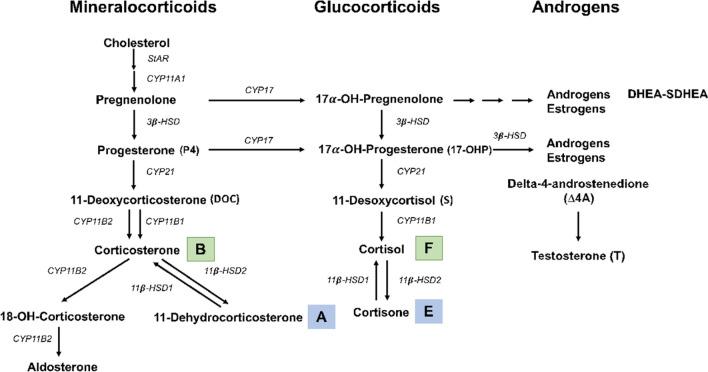 https://cdn.ncbi.nlm.nih.gov/pmc/blobs/9a8c/10465571/4fe94330442c/41598_2023_41126_Fig1_HTML.jpg