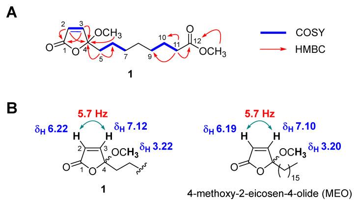https://cdn.ncbi.nlm.nih.gov/pmc/blobs/9a8c/8944812/3371af1dc0f3/antioxidants-11-00482-g002.jpg