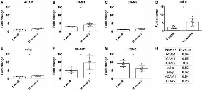 https://cdn.ncbi.nlm.nih.gov/pmc/blobs/9a8e/5880884/3d20ae61cc33/fbioe-06-00026-g006.jpg