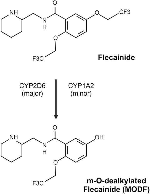 https://cdn.ncbi.nlm.nih.gov/pmc/blobs/9a8f/11686437/b7f9b7934545/fphar-15-1477485-g002.jpg