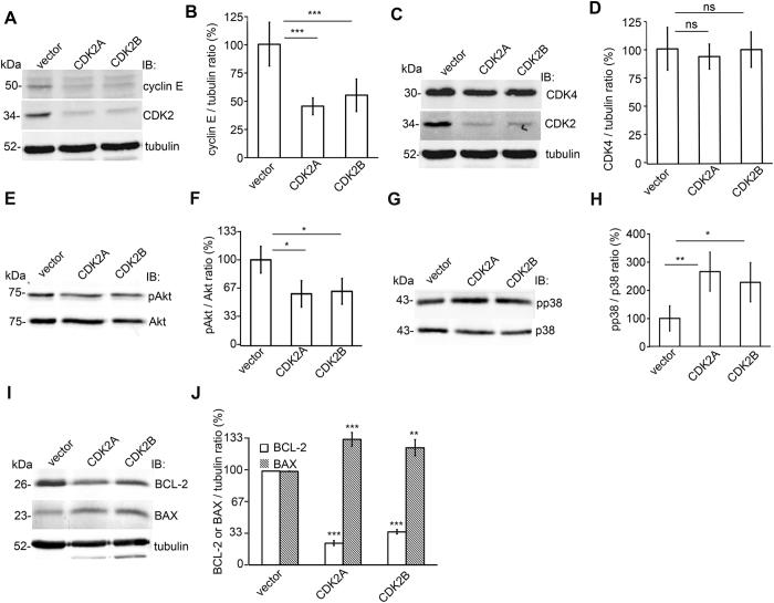 https://cdn.ncbi.nlm.nih.gov/pmc/blobs/9a8f/4753499/4e5e6535ee74/srep21664-f7.jpg