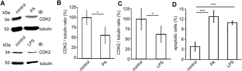 https://cdn.ncbi.nlm.nih.gov/pmc/blobs/9a8f/4753499/9be584628a29/srep21664-f3.jpg