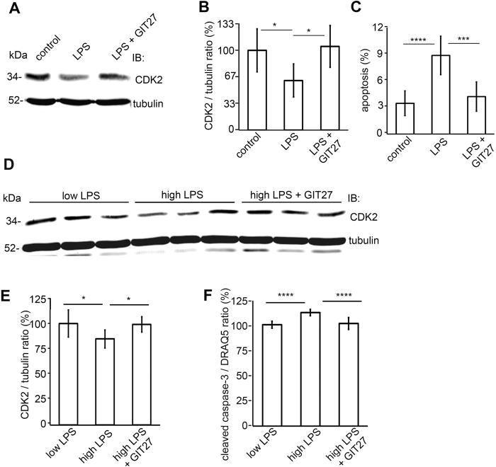 https://cdn.ncbi.nlm.nih.gov/pmc/blobs/9a8f/4753499/e2afcee5ab22/srep21664-f4.jpg