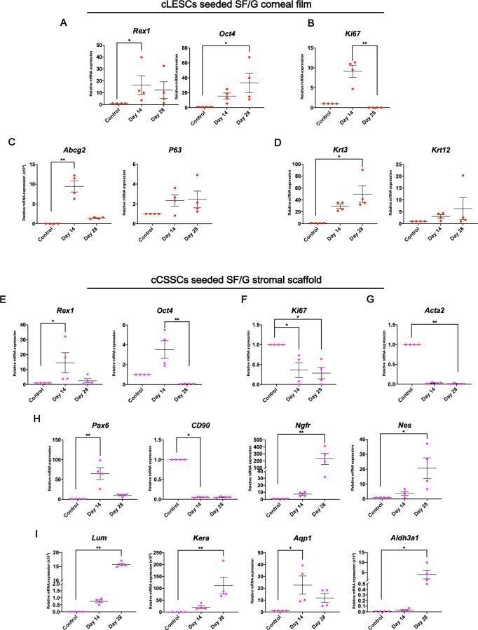 https://cdn.ncbi.nlm.nih.gov/pmc/blobs/9a91/8815981/b727c920b045/pone.0263141.g005.jpg