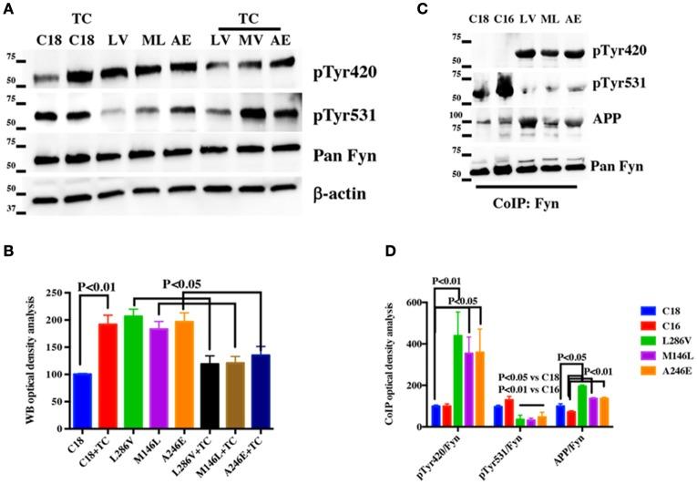 https://cdn.ncbi.nlm.nih.gov/pmc/blobs/9a92/5350151/02e4a5cb5c70/fnmol-10-00059-g0006.jpg