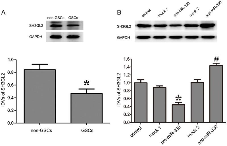 https://cdn.ncbi.nlm.nih.gov/pmc/blobs/9a94/3988141/b58ef0e85c1c/pone.0095060.g004.jpg