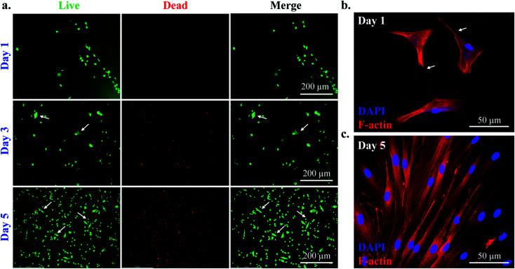 https://cdn.ncbi.nlm.nih.gov/pmc/blobs/9a95/9033958/02d0393a9bc3/d1ra01143j-f4.jpg