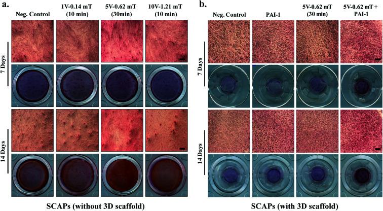 https://cdn.ncbi.nlm.nih.gov/pmc/blobs/9a95/9033958/577c14df0fef/d1ra01143j-f7.jpg