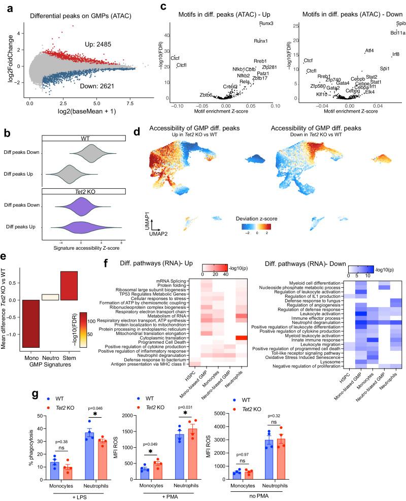 https://cdn.ncbi.nlm.nih.gov/pmc/blobs/9a9a/11109152/6af433e740e6/41467_2024_48508_Fig2_HTML.jpg