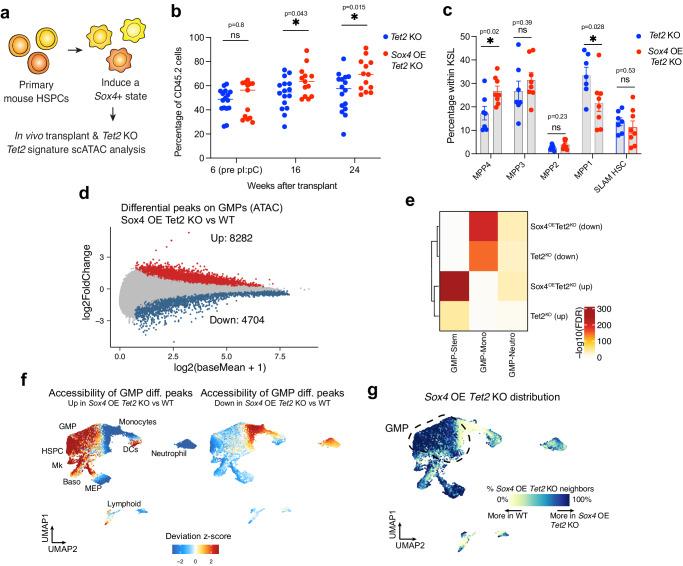 https://cdn.ncbi.nlm.nih.gov/pmc/blobs/9a9a/11109152/f3b5844272b2/41467_2024_48508_Fig5_HTML.jpg