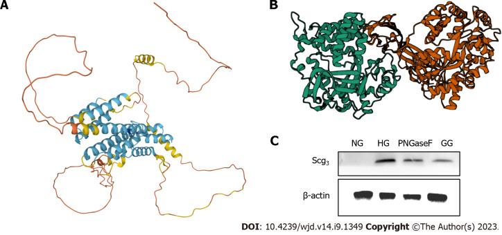 https://cdn.ncbi.nlm.nih.gov/pmc/blobs/9a9b/10523227/ae85ffd46909/WJD-14-1349-g007.jpg