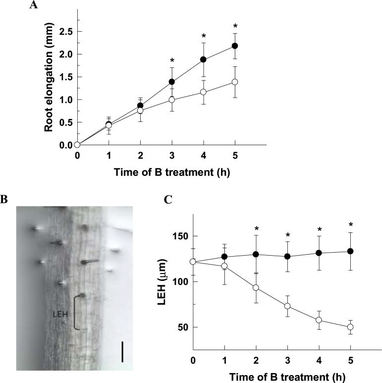 https://cdn.ncbi.nlm.nih.gov/pmc/blobs/9a9e/4473985/a01244eea97e/exbotj_erv186_f0001.jpg