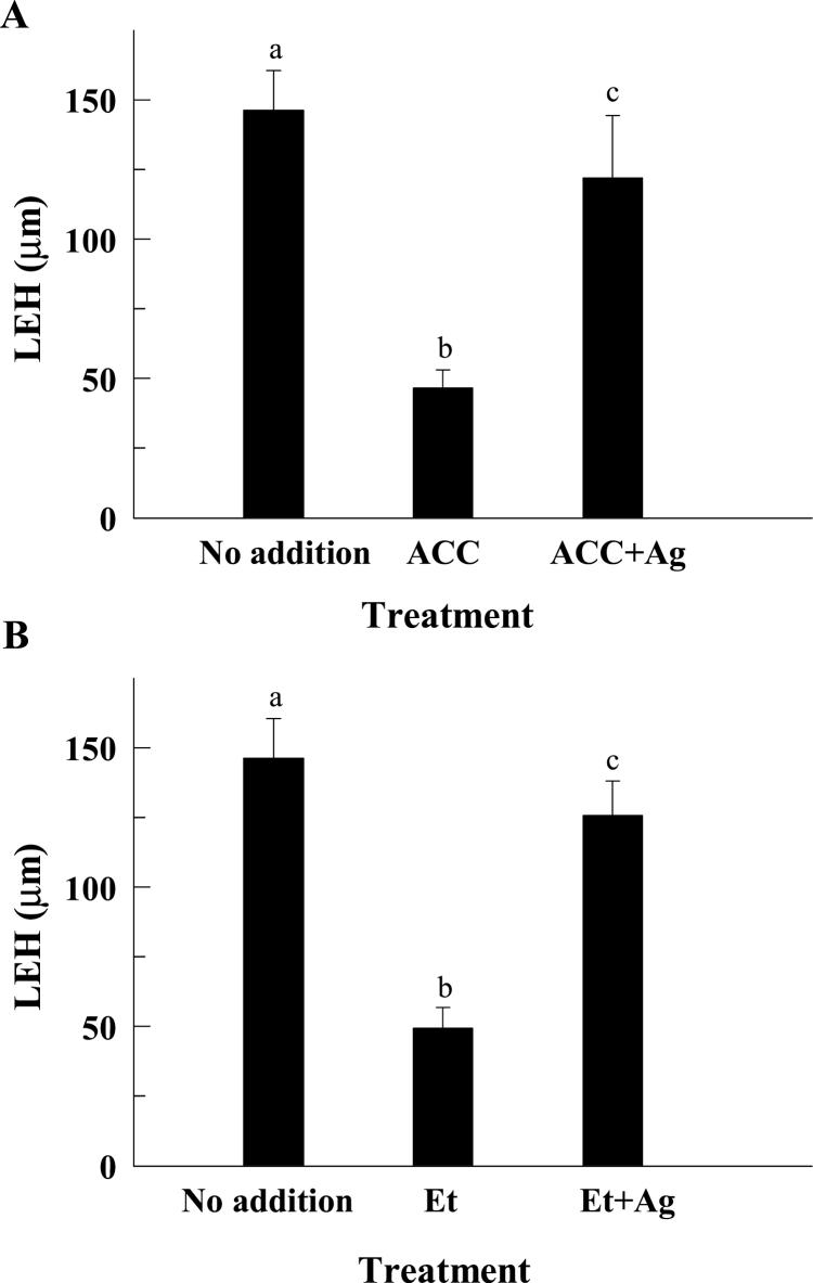 https://cdn.ncbi.nlm.nih.gov/pmc/blobs/9a9e/4473985/dc16299396a6/exbotj_erv186_f0003.jpg