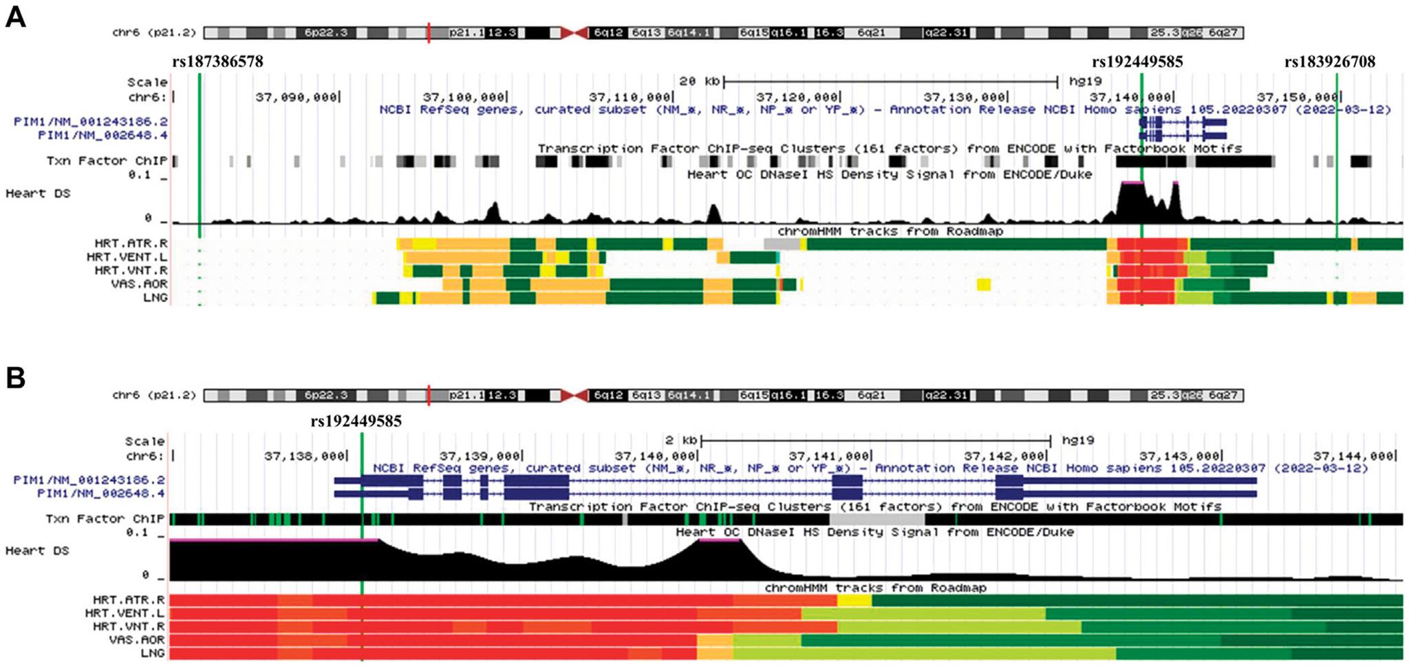 https://cdn.ncbi.nlm.nih.gov/pmc/blobs/9a9f/10121214/54b94fd72156/nihms-1892159-f0002.jpg