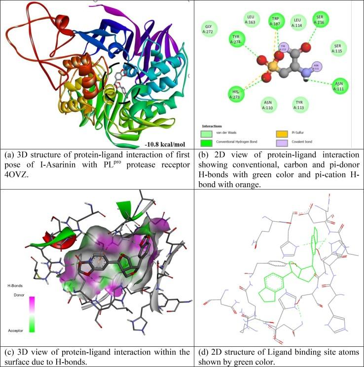 https://cdn.ncbi.nlm.nih.gov/pmc/blobs/9aa0/8478074/43d58e624132/gr3_lrg.jpg