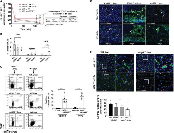 https://cdn.ncbi.nlm.nih.gov/pmc/blobs/9aa3/10551749/70115de12932/research.0236.fig.003.jpg