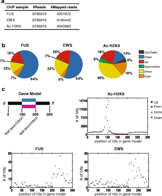 https://cdn.ncbi.nlm.nih.gov/pmc/blobs/9aa3/4647676/d994a34fe846/12864_2015_2125_Fig1_HTML.jpg