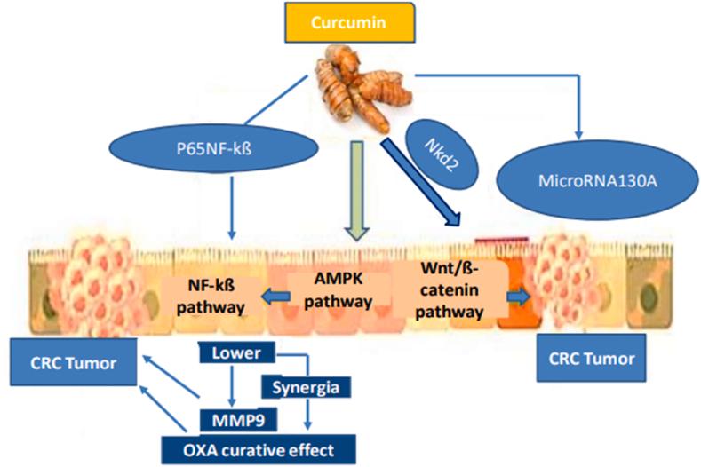 https://cdn.ncbi.nlm.nih.gov/pmc/blobs/9aa5/11219337/562f3d1e50d2/gr6.jpg