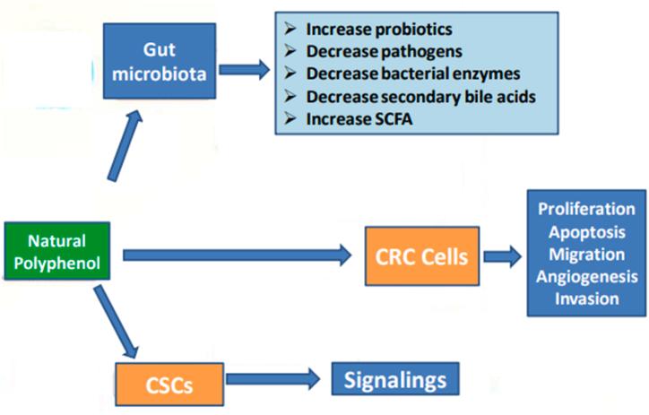 https://cdn.ncbi.nlm.nih.gov/pmc/blobs/9aa5/11219337/b16a7cd47a01/gr4.jpg