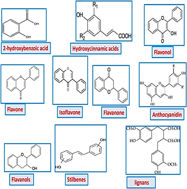 https://cdn.ncbi.nlm.nih.gov/pmc/blobs/9aa5/11219337/d70d83b407bc/gr3.jpg