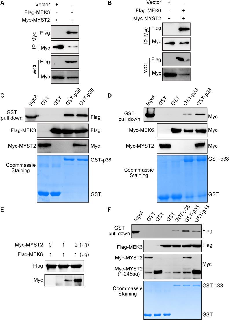 https://cdn.ncbi.nlm.nih.gov/pmc/blobs/9aa5/11629335/00668ac28834/gr5.jpg
